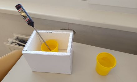 Tehniški dan v 5. a razredu