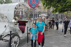 Meddržavno tekmovanje v hitrem in zanesljivem računanju