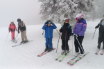 IMG_20250212_114807
